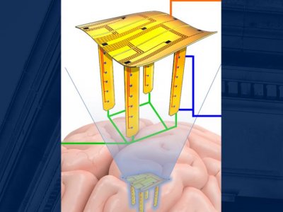Pop-up electrode device could help with 3D mapping of the brain | Penn State University