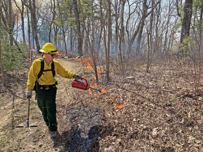 USFS personnel conduct a prescribed burn on forested land