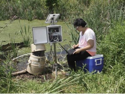 Presence, persistence of estrogens in vernal pools an emerging concern | Penn State University