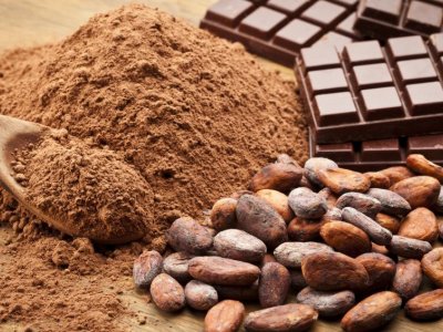 Processing, like fermentation and roasting, doesn’t cut cocoa’s health benefits | Penn State University