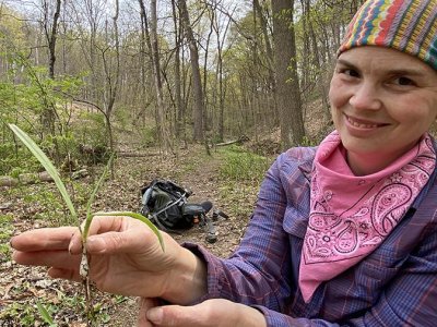 Ramped up: Higher demand for wild leeks has foragers overeager, threatens plant | Penn State University