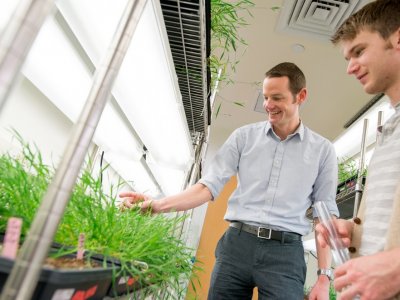 "Fast Farming" Biology professor and undergraduate research student examine Brachypodium plants in grow room.