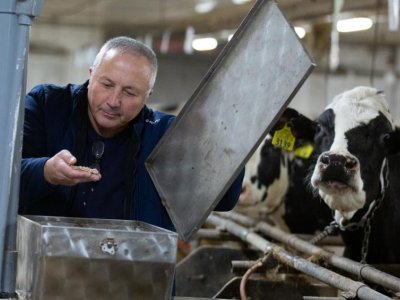 Researcher gets $2M grant to test feed additives’ effect on methane emissions | Penn State University