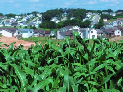 Researchers aim to create thriving agricultural systems in urbanizing landscapes | Penn State University