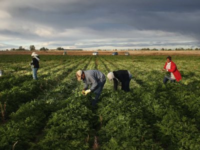 Sexual violence is a pervasive threat for female farm workers – here's how the US could reduce their risk