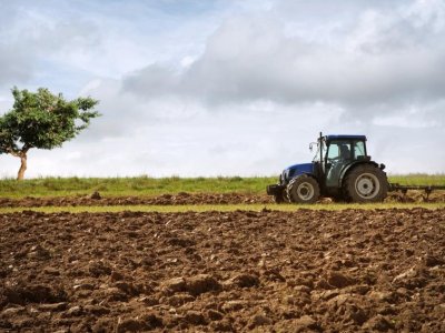 Soil tillage reduces availability of ‘longevity vitamin’ ergothioneine in crops | Penn State University
