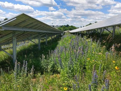 Solar farms with stormwater controls mitigate runoff, erosion, study finds | Penn State University