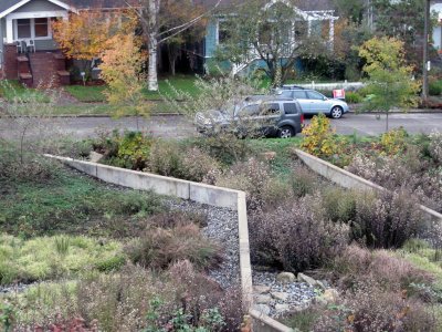 Some cities reimburse residents for the costs of rain gardens or cisterns (Photo credit: Seattle Parks and Recreation / CC BY 2.0)