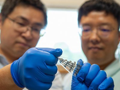 Stretchy, bio-inspired synaptic transistor can enhance, weaken device memories | Penn State University