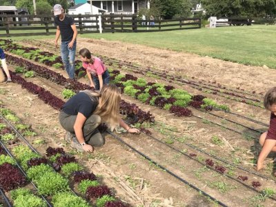 Student Farm moves to Student Affairs and collaborative governance structure | Penn State University