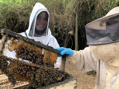 Student receives Fulbright to study honey bee health, behavior in Kenya | Penn State University