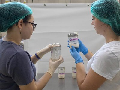 Study of sourdough starter microbiomes to boost bread quality and safety | Penn State University