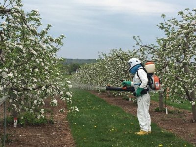 Taking a groundbreaking idea from the lab to the orchard