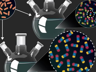 Unconventional experiments produce new nanoscale particles with big potential | Penn State University