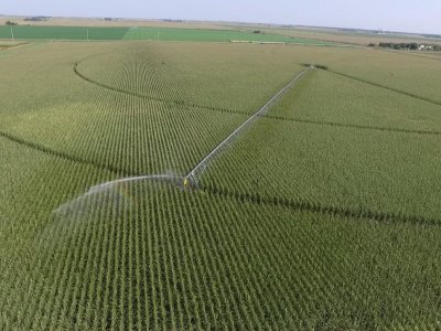 Warming climate to result in reduced corn production; irrigation blunts effect  | Penn State University