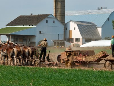 Amish men baling hay in a field using equipment pulled by horses in front of a barn