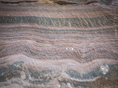 A cross section of the Earth's crust
