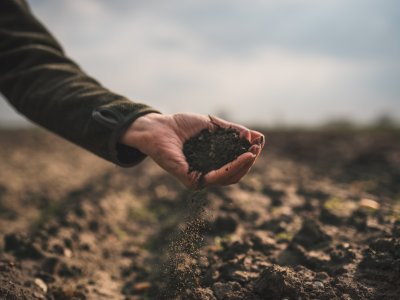 A hand holds soil in a field