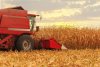 A red harvester works to harvest corn in a field