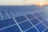 Solar panels in a solar farm at sunrise